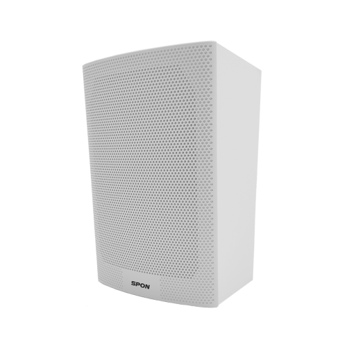 IP Wall Mount Speaker
